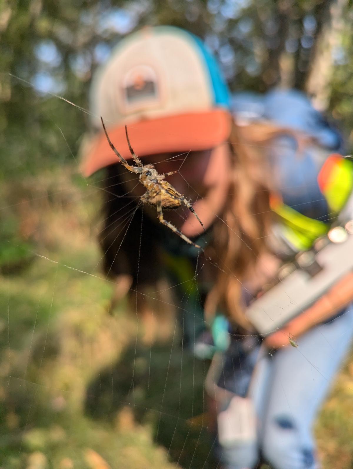 Port Biologist stares down a spider
